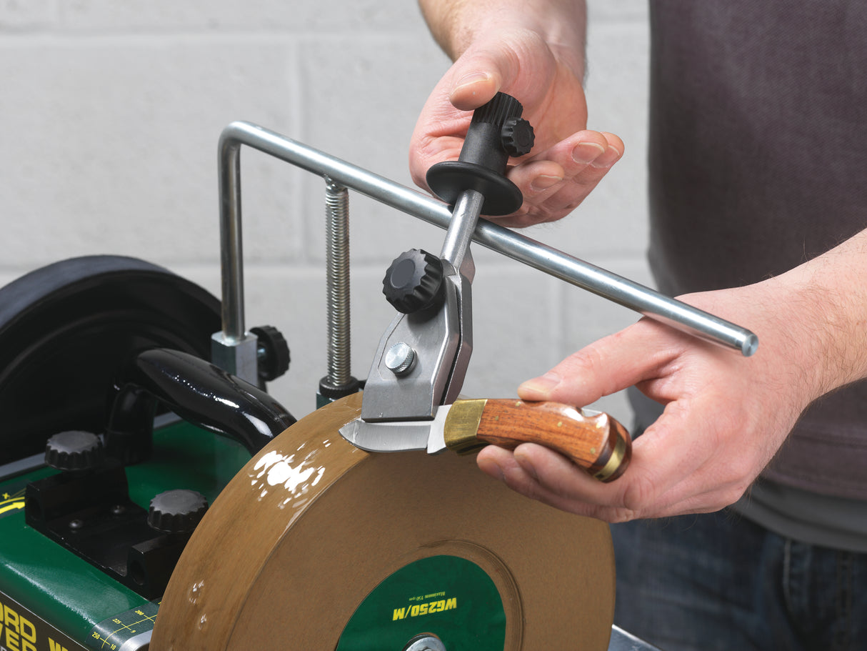 Record Power Dima per affilatura coltelli corti WG250/G