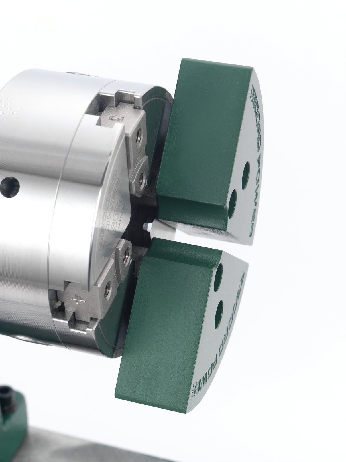 Record Power Ganasce morbide in plastica